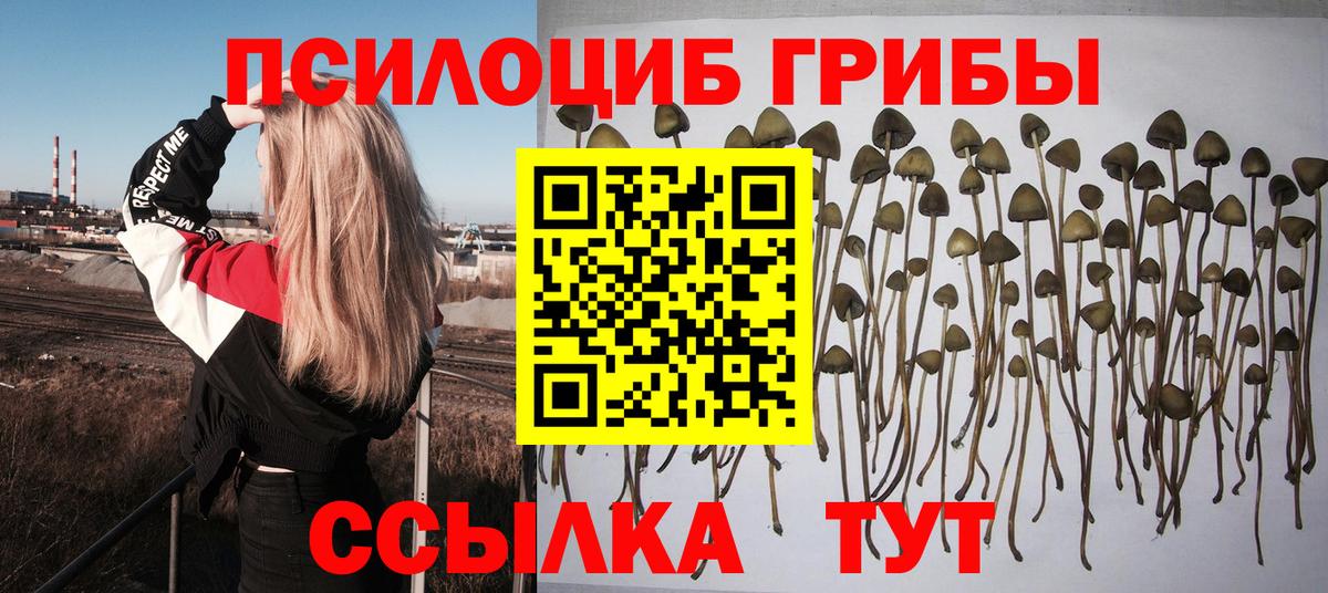 Архангельск  Псилоцибиновые грибы прущие грибы  Вход с VPN  Галлюциногенные грибы мицелий 